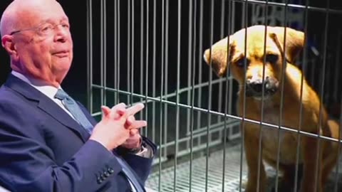 Klaus Schwab (WEF) wants to euthanase our pets