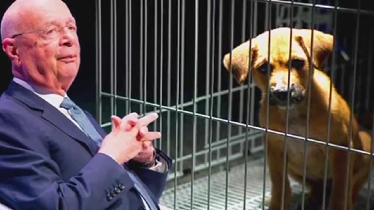 Klaus Schwab (WEF) wants to euthanase our pets