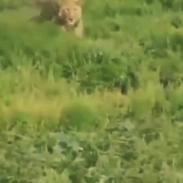 How is possible😮😮