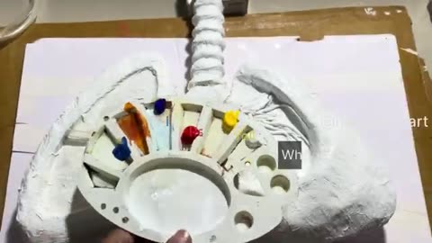 Respiratory system
