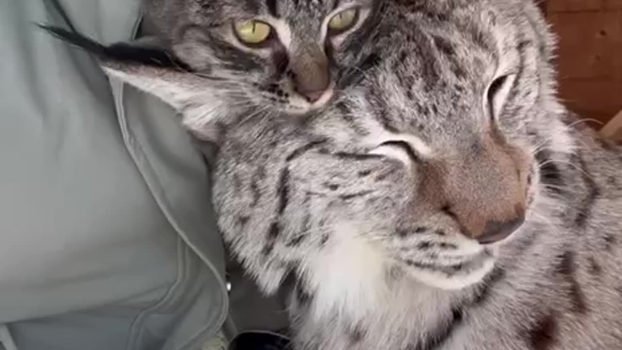 Best friends come in all shapes and sizes 😊