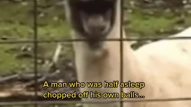 A man who was half asleep chopped off his own balls...