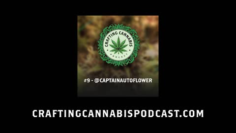 #9 - @captainautoflower