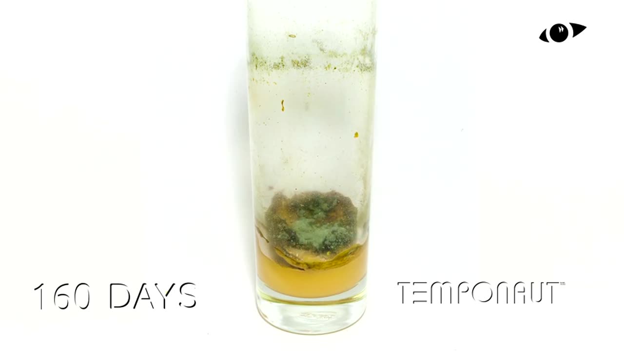 Pink Smoothie Timelapse
