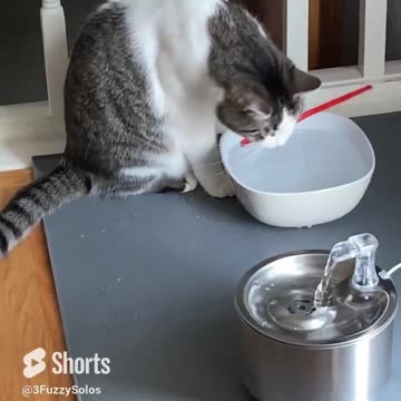 Alternative uses for a straw