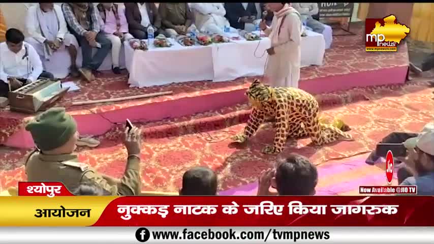 कूनो नेशनल पार्क में चीता मित्रों ने किया नुक्कड़ नाटक, दिया ये संदेश! MP News Sheopur