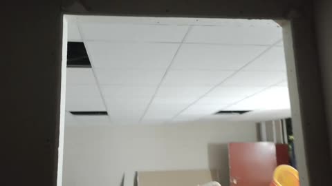 T-Grid False ceiling with Wall cladding