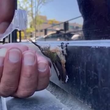 Love is a beautiful thing