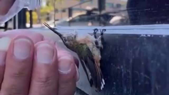 Love is a beautiful thing