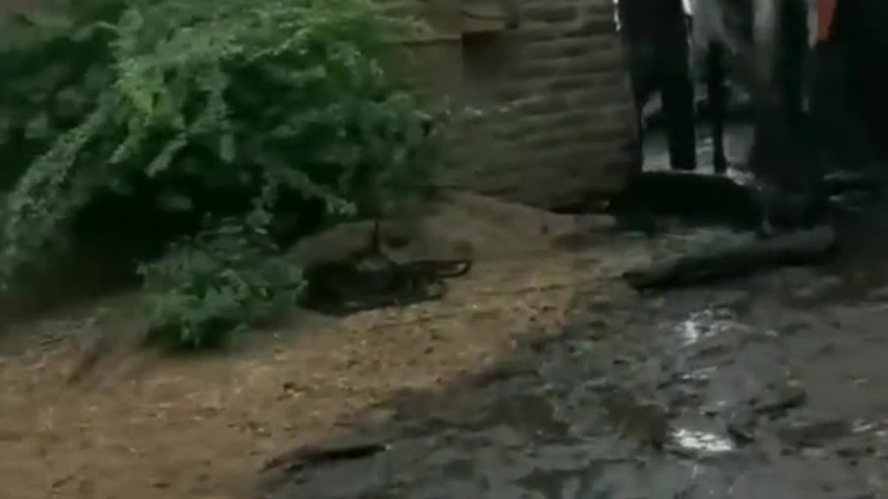 The most Shocking moments