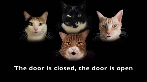 "Meowhemian Rhapsody: A Purr-ody for Cat Royals Everywhere!"