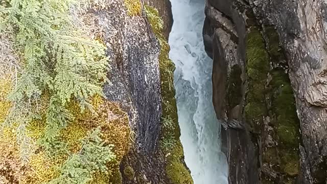 Banff National Park