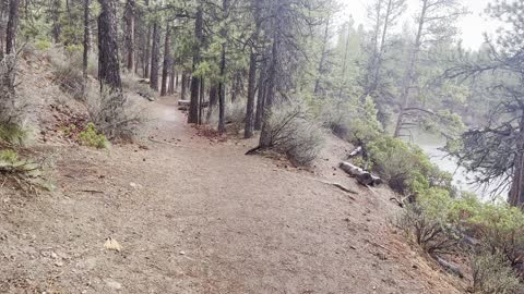 Hiking Above Deschutes River in the Wet Rain – Central Oregon – 4K