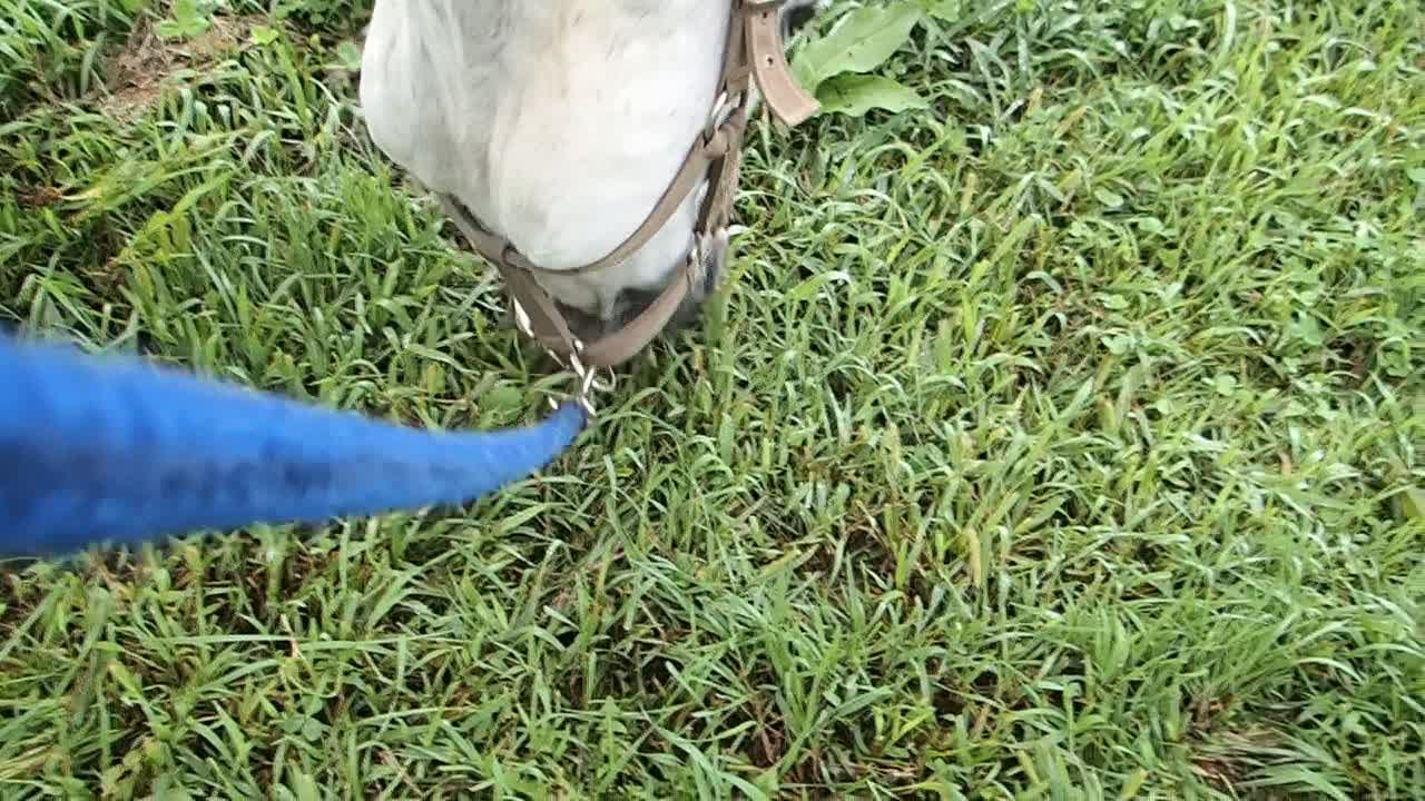 Pooh-chan eat and walk-3