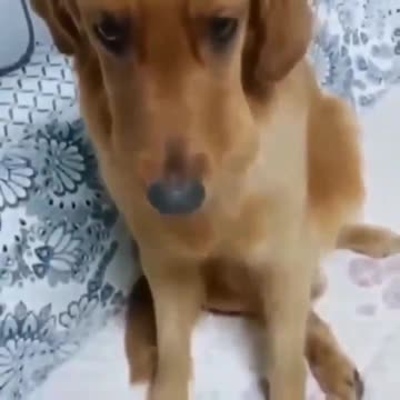 I don't suppose you've seen those two boiled eggs