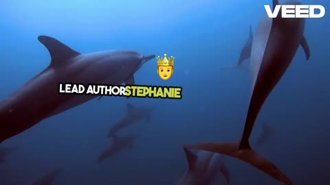 Fun Fact #72- Dolphins call each other by Name