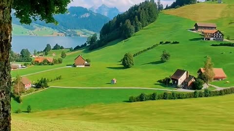 How to get rid of the most out of the most