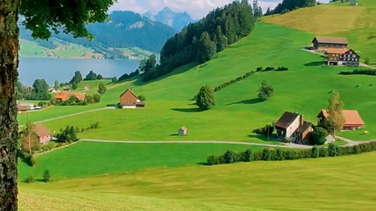 How to get rid of the most out of the most