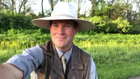 My Review of '2000 Mules'