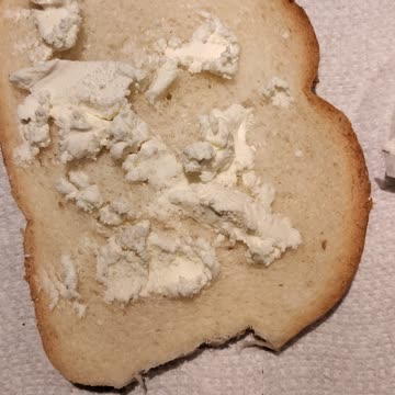 Eating Montchevre Plain Goat Cheese, Dbn, MI, 11/10/23
