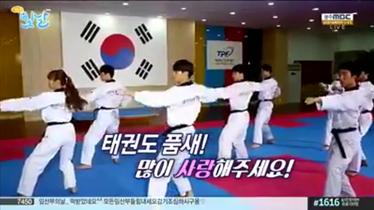 Taekwondo