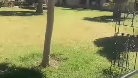 أنا أريك الناس