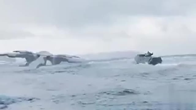 NORWEGIAN ARMY AND CALLED TO SEE OBJECT THAT FALLEN INTO THE SEA UFO WATCH THE VIDEO AND SHARE