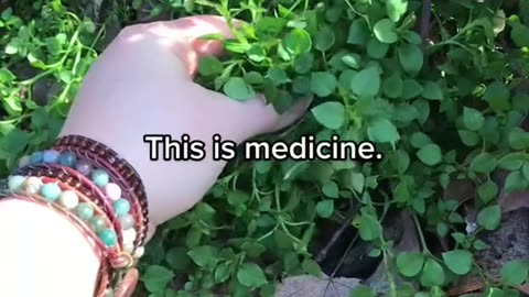 There is medicine all around you.