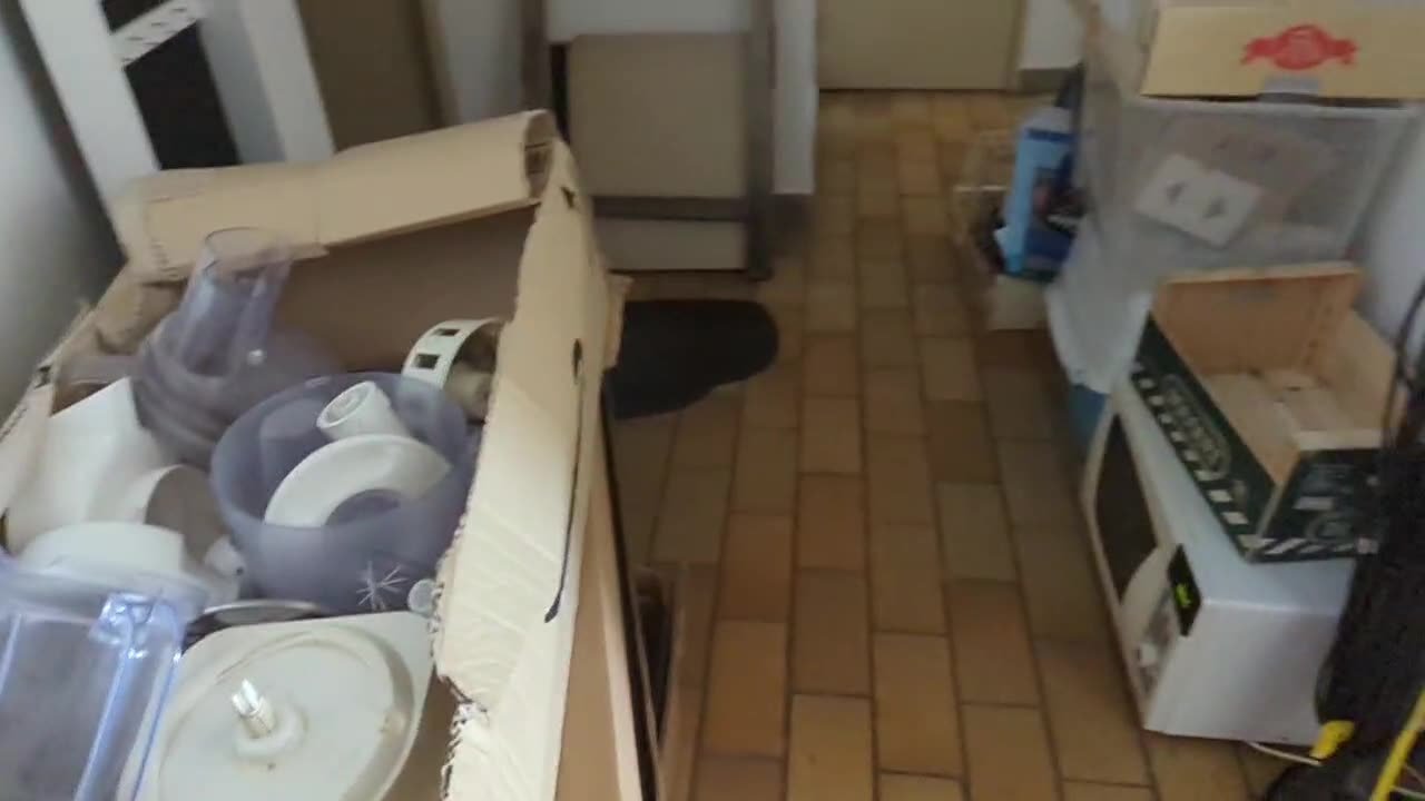 2023-05-19 (1) - aspirat? - Twitch Triskelina