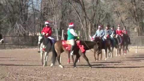 Corrales horses get festive to raise donations