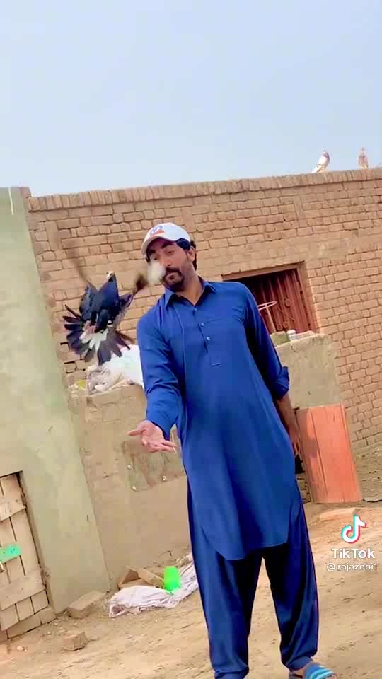 Best bird training center asia