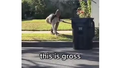 Pet owners be like