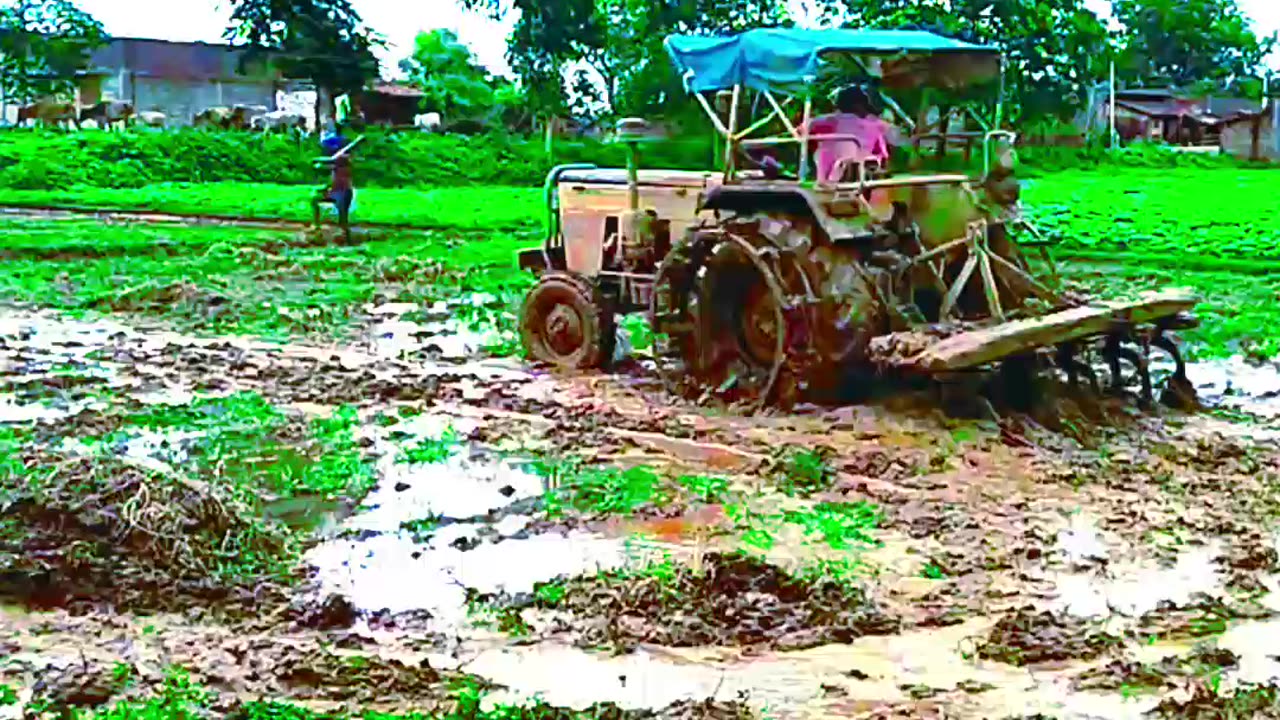 Sabse Nik bate saiya ki Sali 😎🙂 tractor se khet jotaai 🚜🚜🚜🚜#funny #realvideo #reals