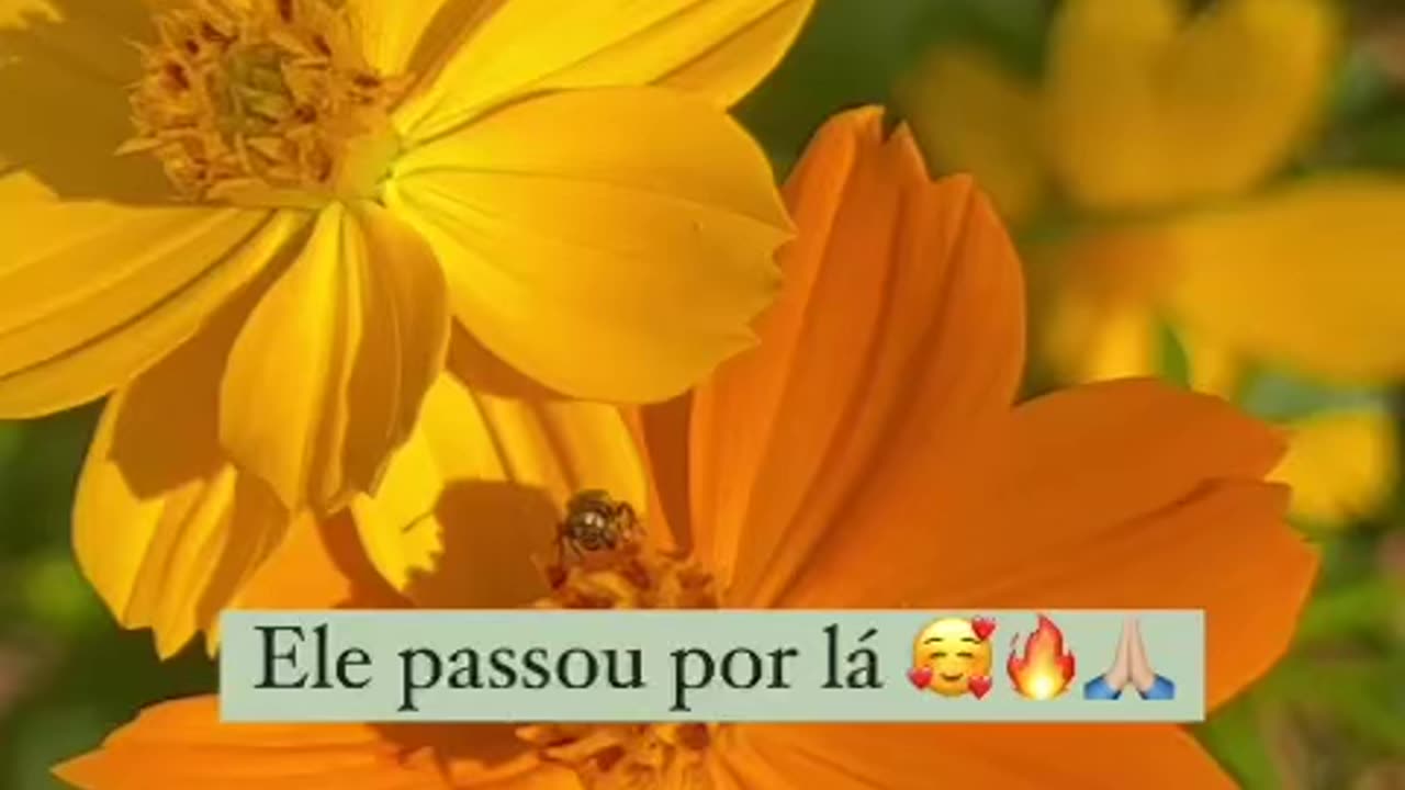 Obrigada senhor!
