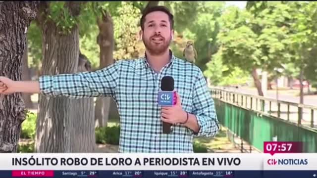 This TV reporter in Chile is reporting on the rise of