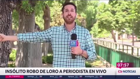 This TV reporter in Chile is reporting on the rise of