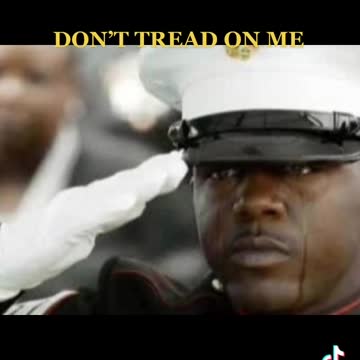 Don't Tread On Me 🇺🇲