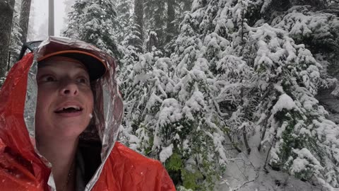 First snow hike of the year! Snow spiders?? #Longmire #mushrooms, #frozenmushrooms