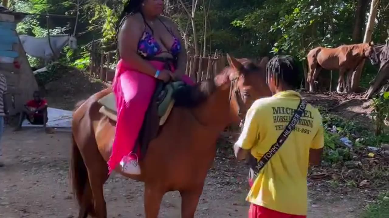 Things to Enjoy in Jamaica