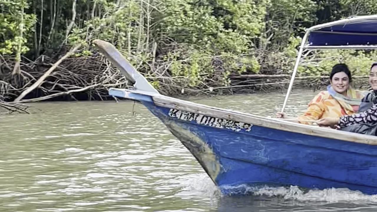 Langkawi island blood vedio