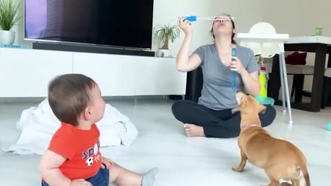 Best video of Cute Babies and Pets - Funny Baby and Pet