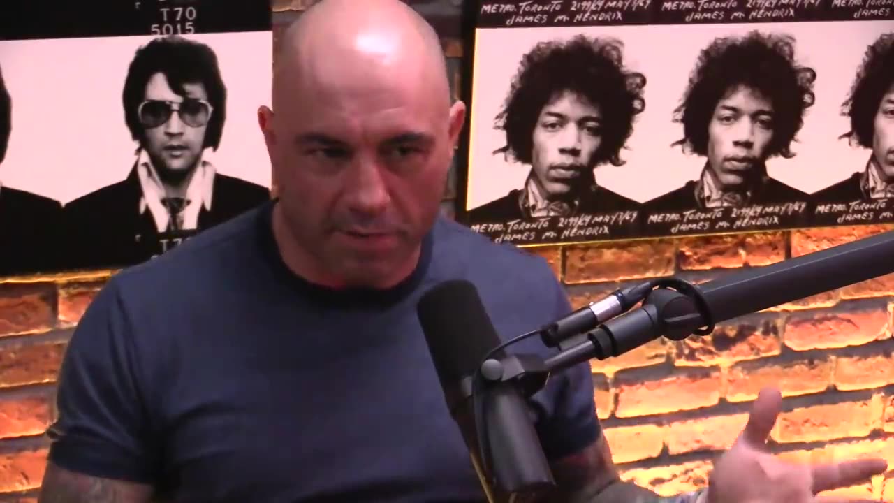 Joe Rogan: