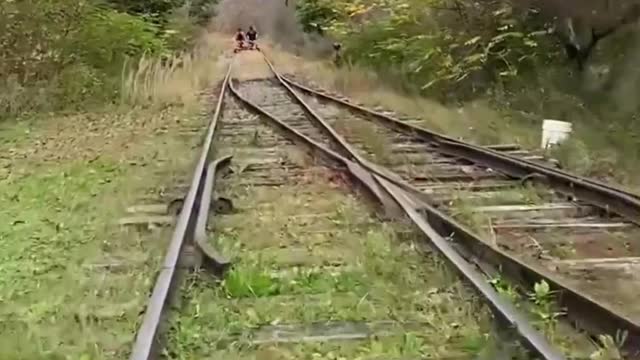 Amazing Rail View