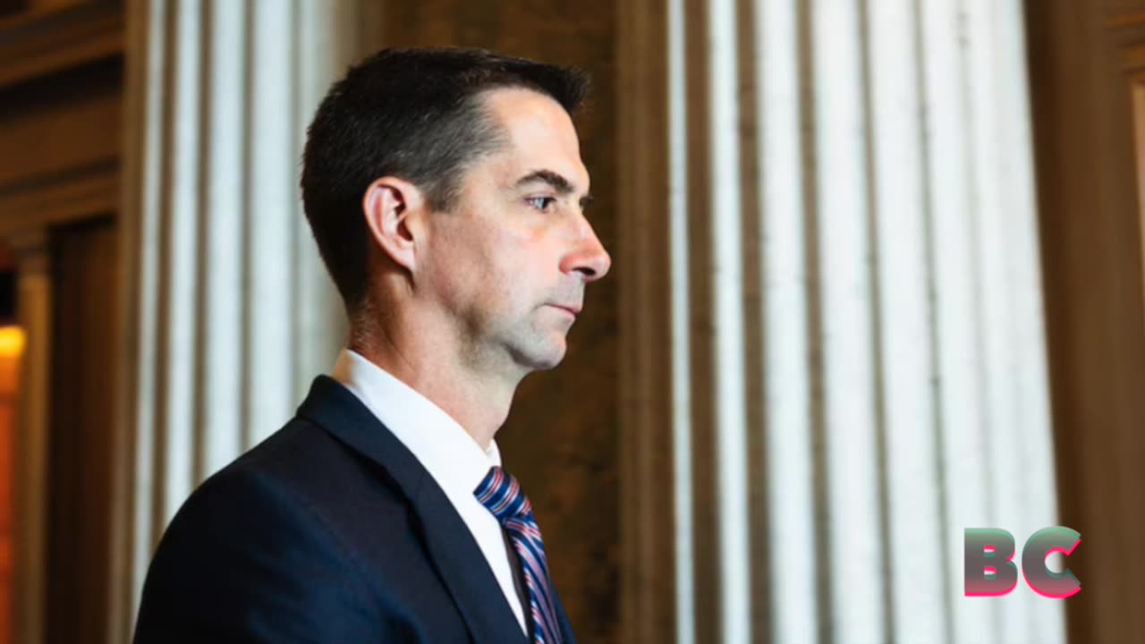 Cotton calls Trump special counsel filing ‘a temper tantrum from a deranged fanatic’