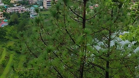 Beautiful nainital 🇮🇳 india