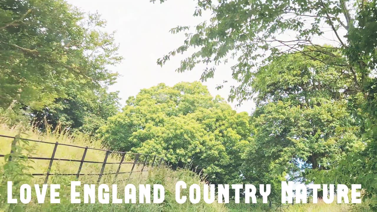 Winchelsea Country Road and Nature, England, United Kingdom.