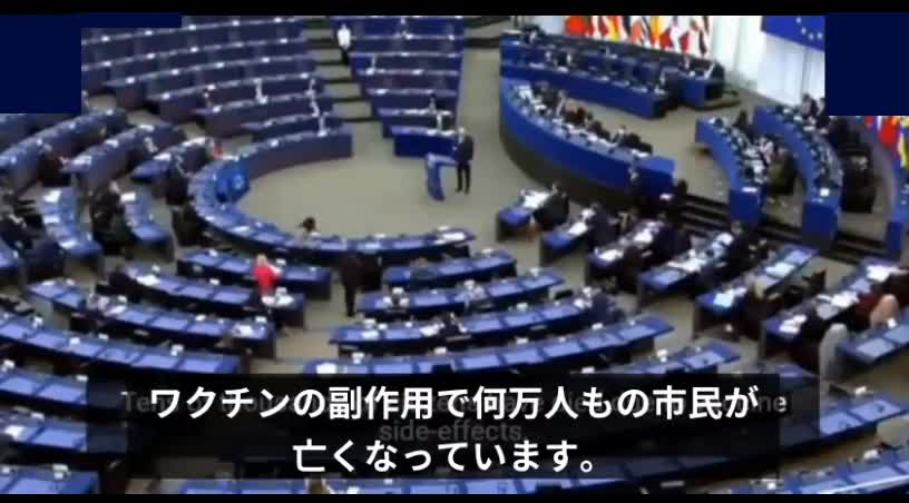 【82】クロアチア議員EU議会発言