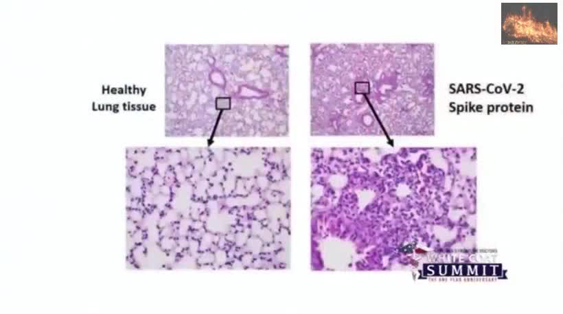 The spike protein is the toxin, Dr. Ryan Cole,