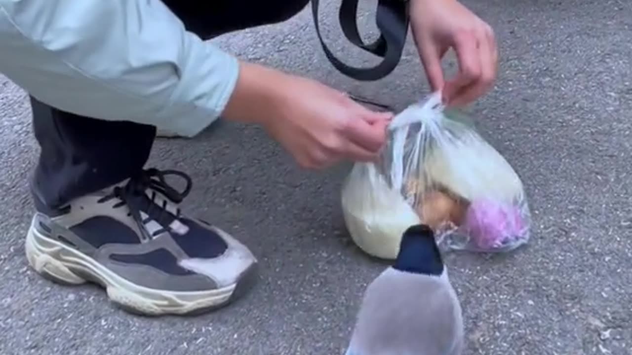 How to make your sim card in a new season