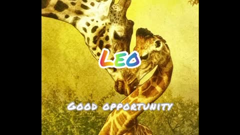 LEO | GOOD OPPORTUNITY